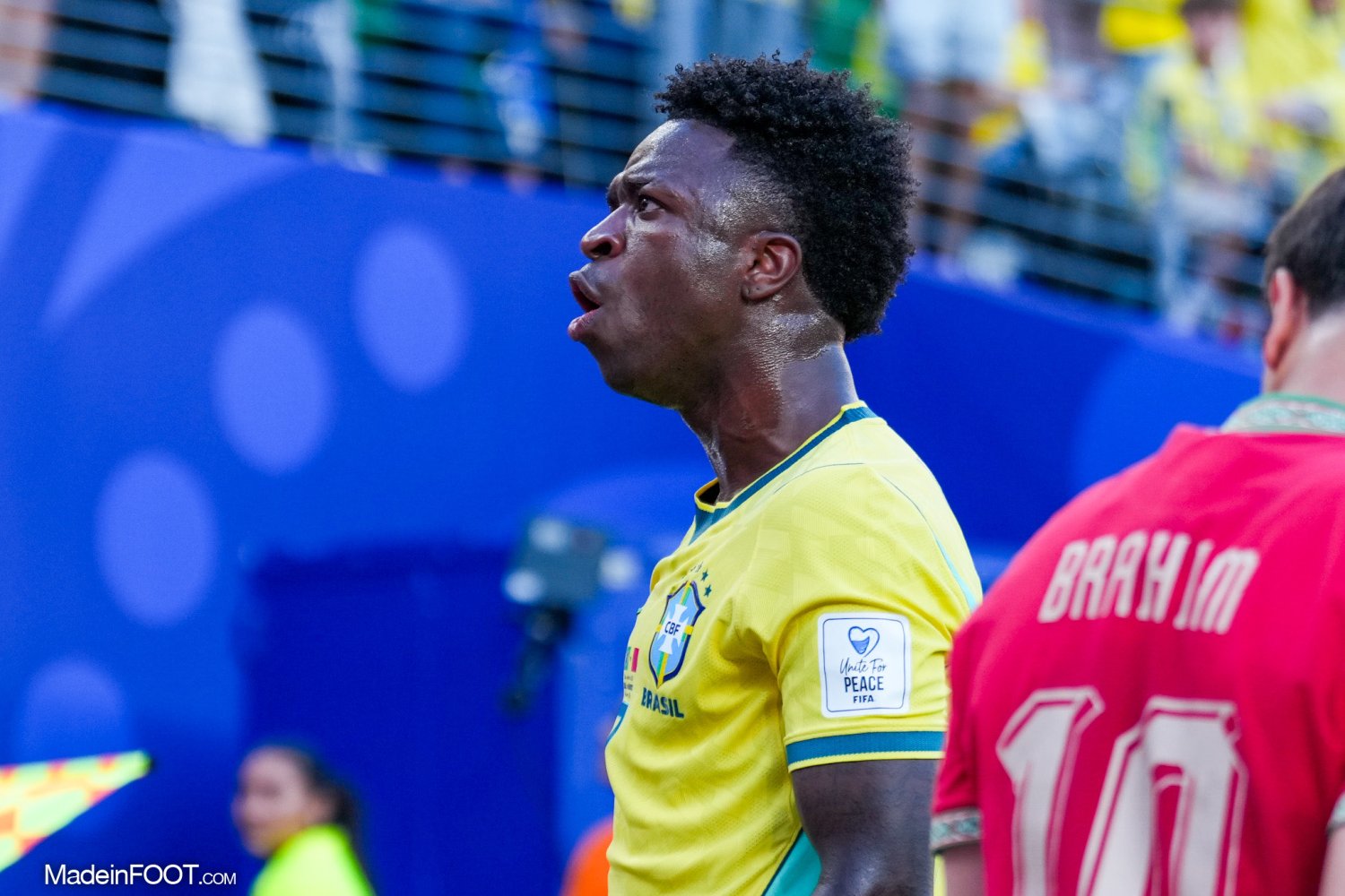 Vinicius (Brésil)